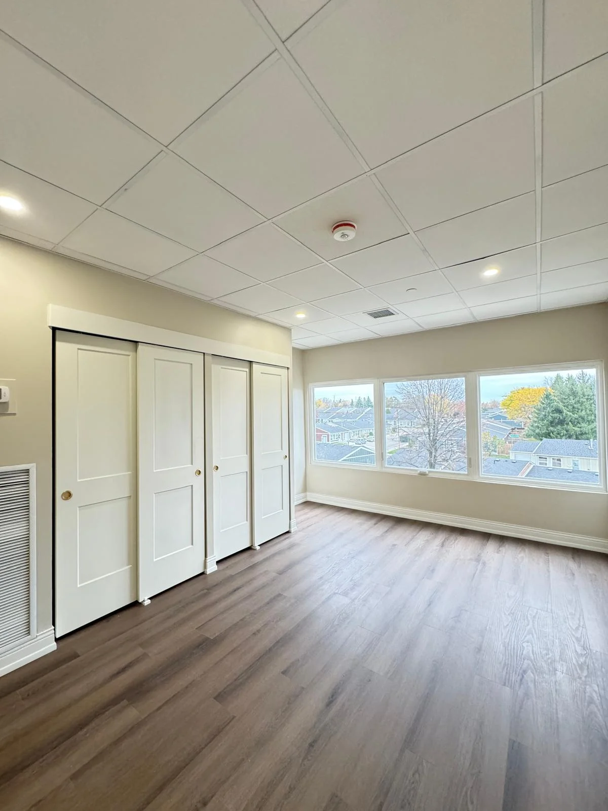 Windows and Doors Renovation