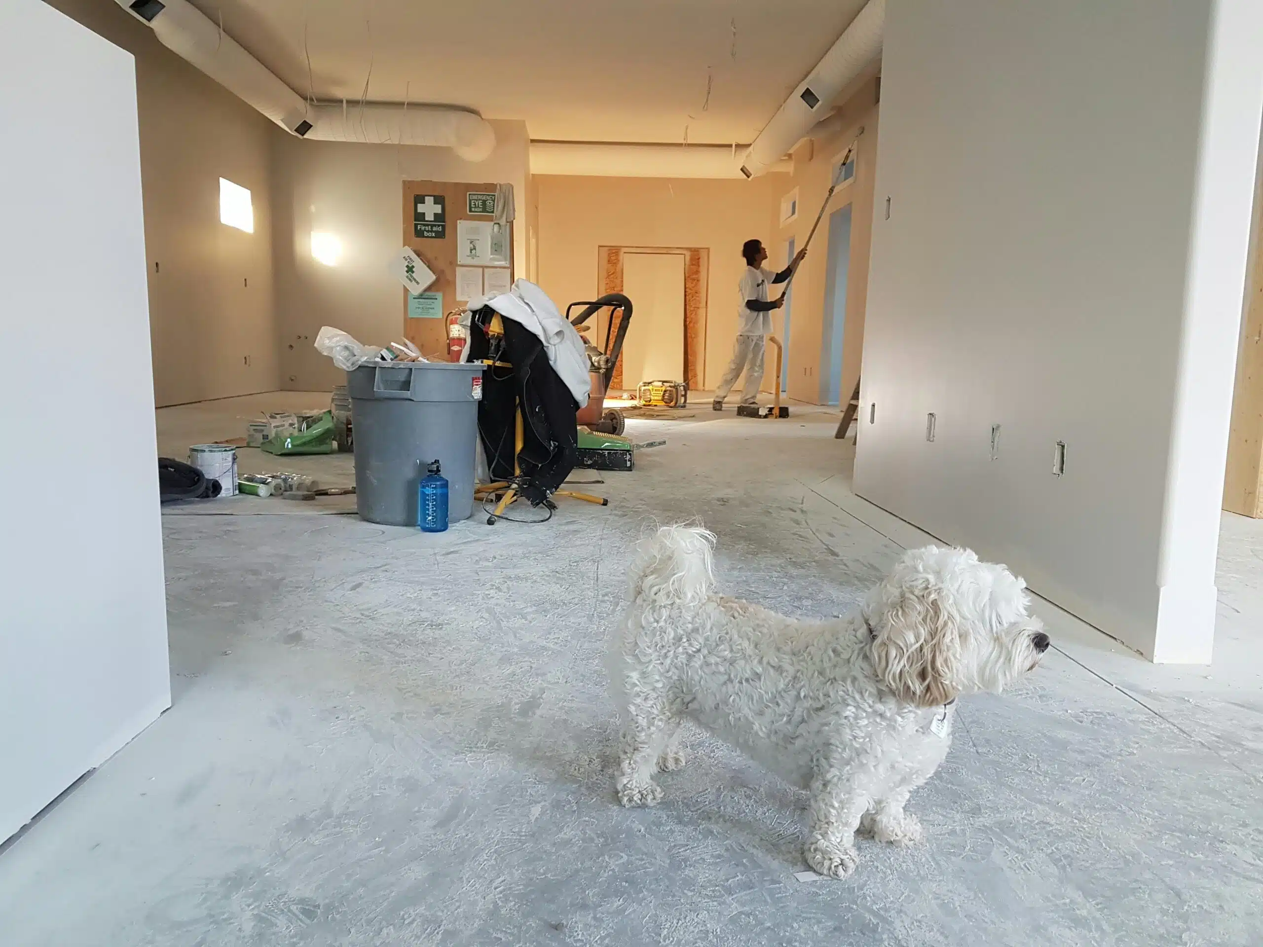 Cruzz Construction Team Hamilton